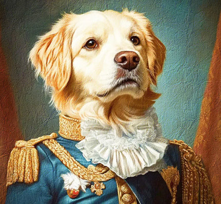 Popular Scene & pet royal style