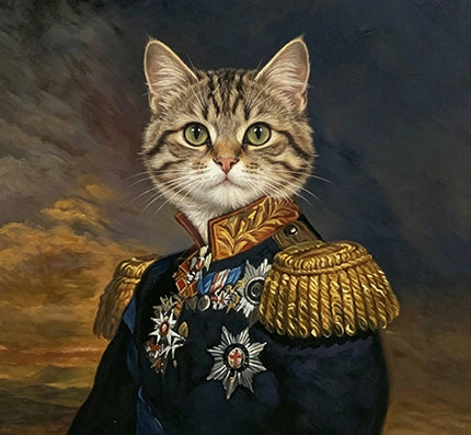Popular Scene & pet royal style