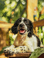 Impressionism & Textured Impasto - Hand-Painted Oil Painting - Outdoor Pet Portrait