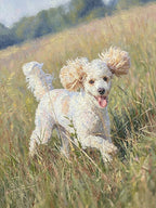 custom-pet-oil-painting-THE MONET