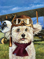 Careers & Roles Portraits – Custom Oil Paintings –The PILOT